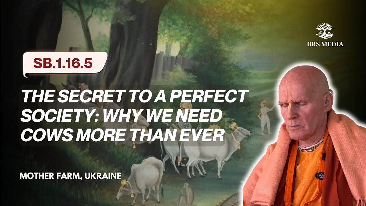 The Secret to a Perfect Society: Why We Need Cows More Than Ever | Mother Farm ,Ukraine  | SB.1.16.5