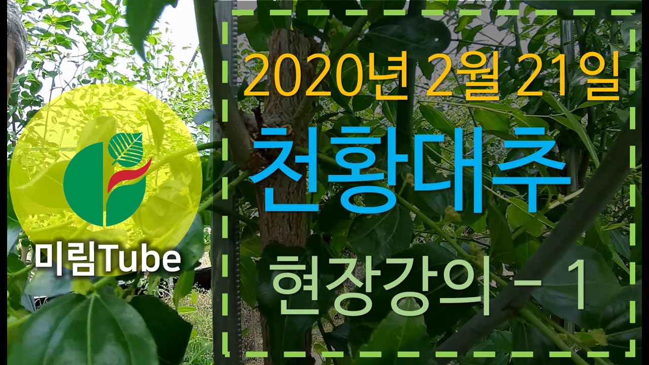 ::: 미림 Tube :::  2020년 2월 21일 금요일 청양 미림원예종묘 현장강의 - 1