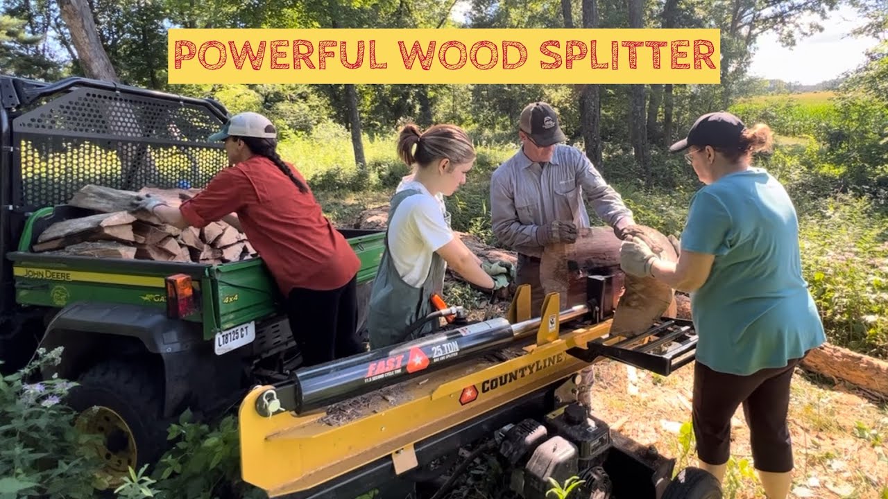 COUNTYLINE 25 Ton Wood Splitter in Action: Having fun making firewood (#85)
