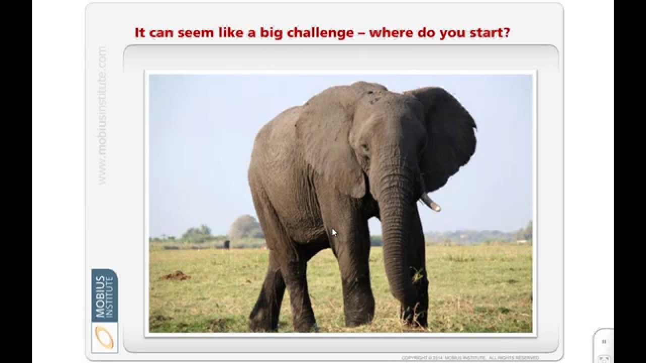 How to eat the [Reliability] Elephant - Part 1: Change the Culture