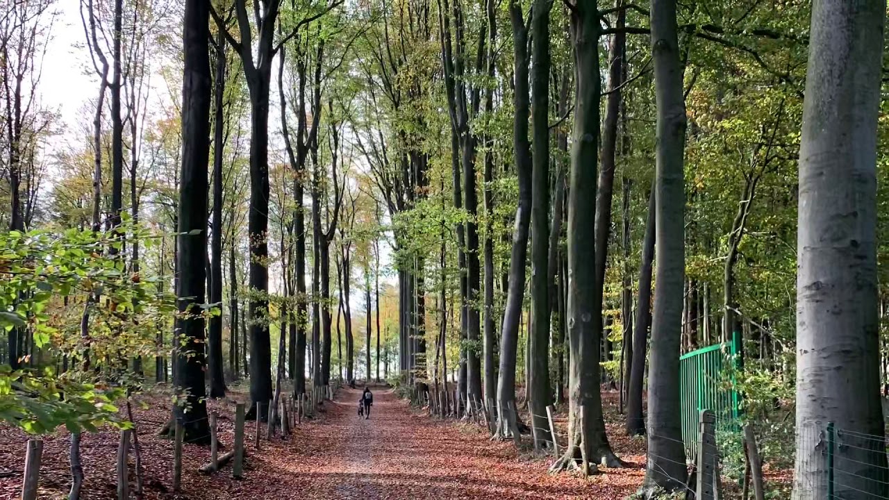 Heksen wandeling tussen Ronde en Ellezelles