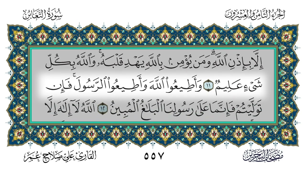 (64) سورة التغابن - القارئ علي صلاح عمر