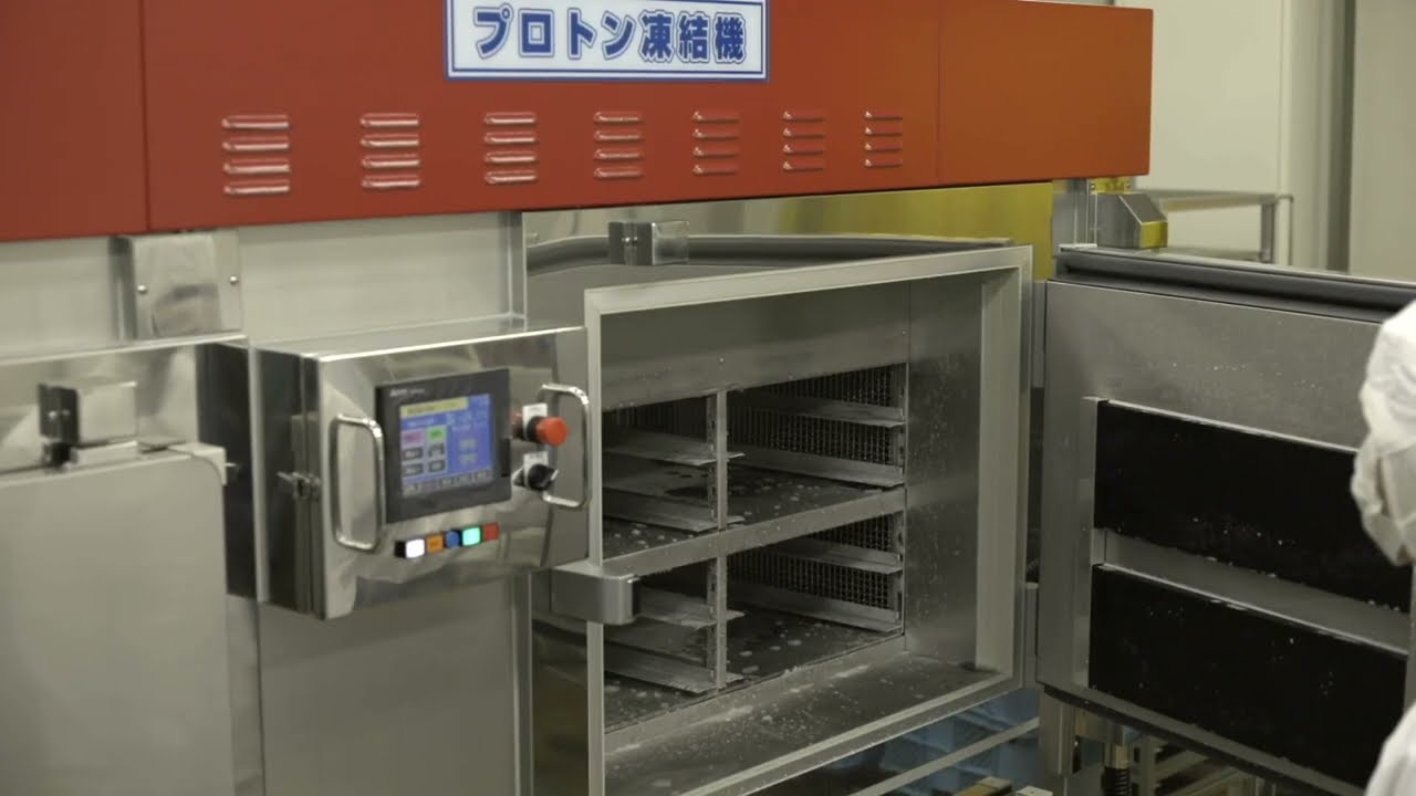 PF-60  PROTON magnetic freezer SERIE PF