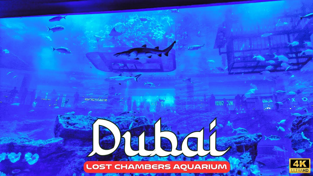 Lost Chambers Aquarium Tour at ATLANTIS THE PALM Hotel in Dubai 4K