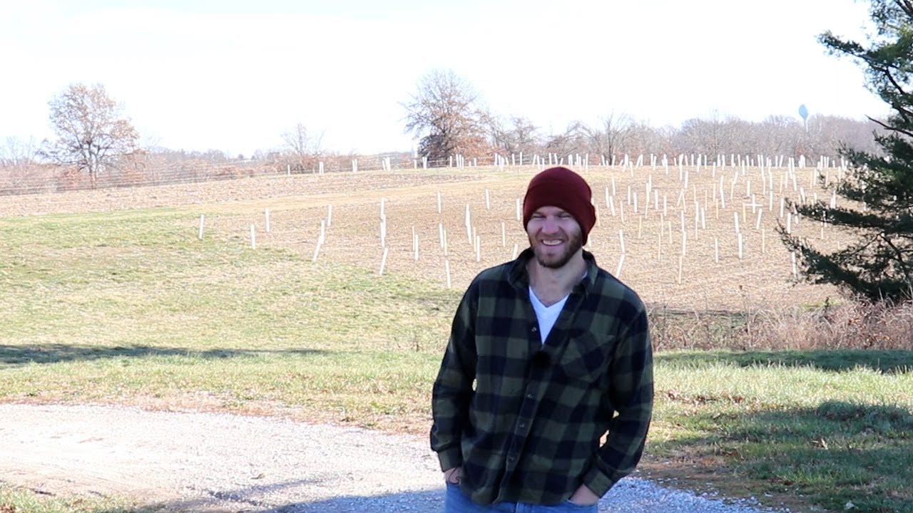 Hazelnut Planting | Nick Meier