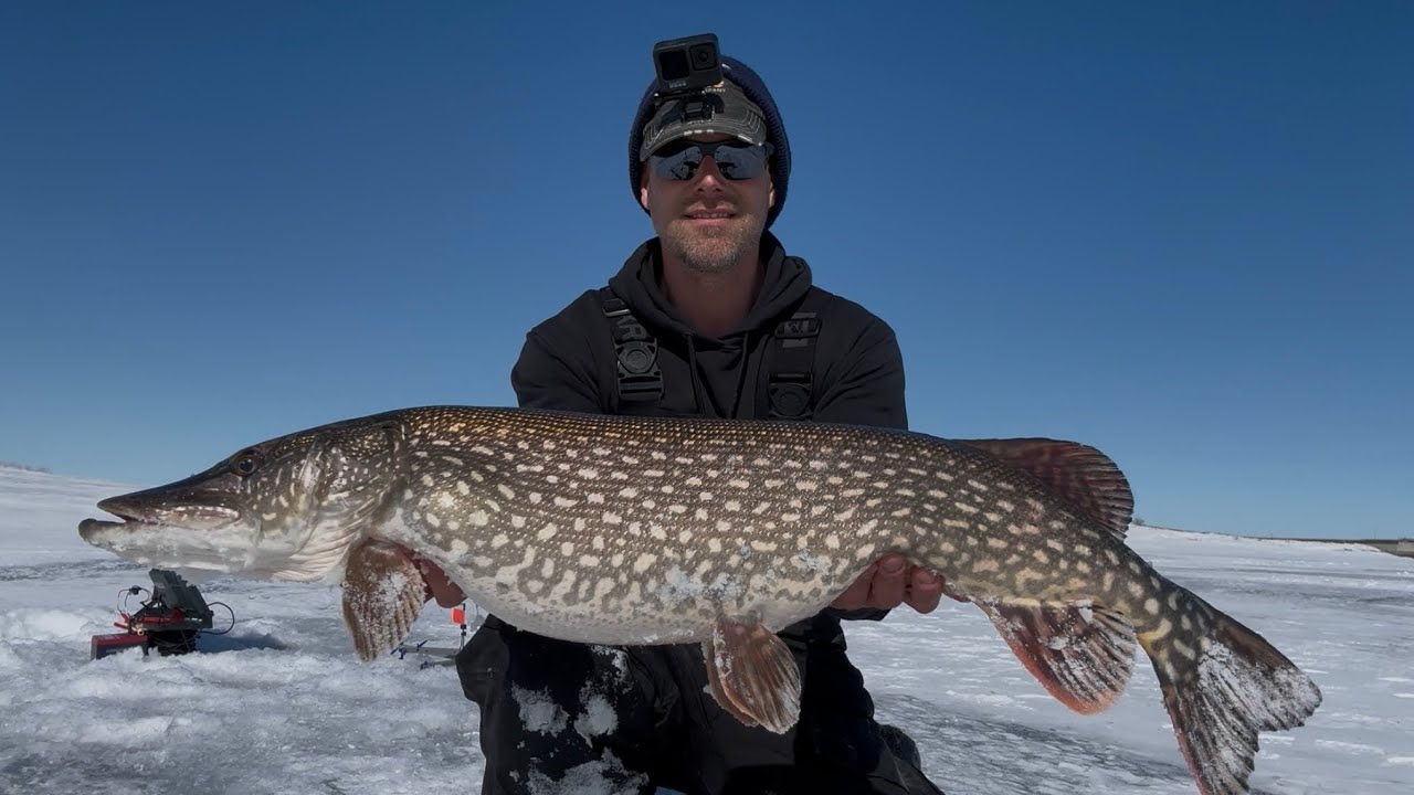 Ice Fishing For Big Pike With an UnderWater Camera!!