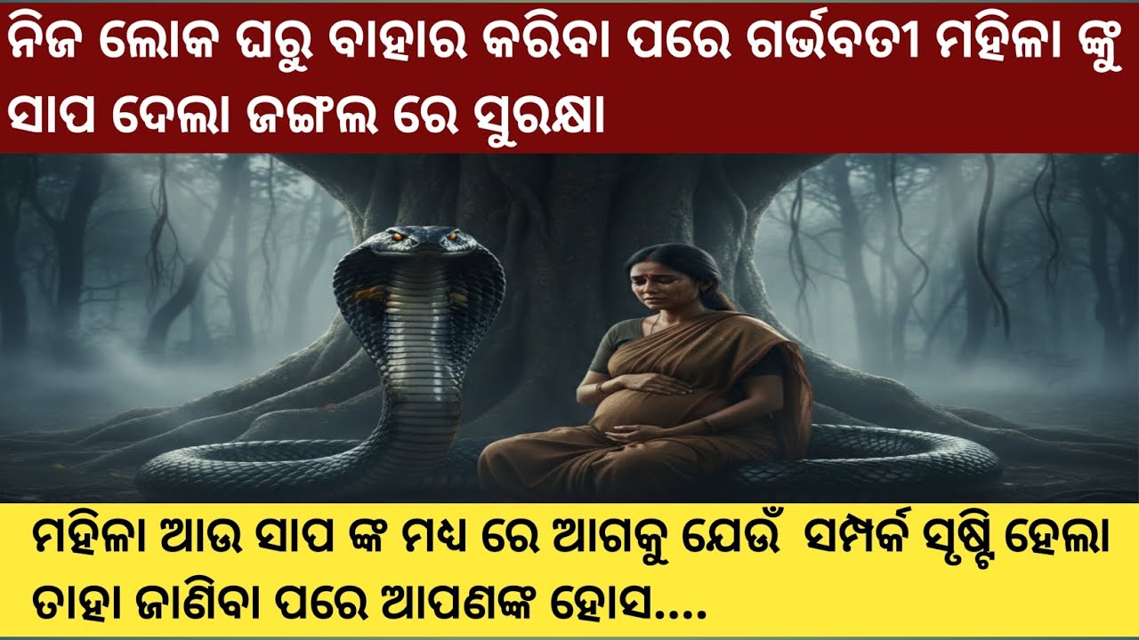 ସାପ ସହ ମହିଳା ଙ୍କ ସମ୍ପର୍କ ,ମାଲକାନଗିରି ଜିଲ୍ଲା ର ଏକ ସତ୍ୟ ଘଟଣା.. ||heart touching story||Odia story||