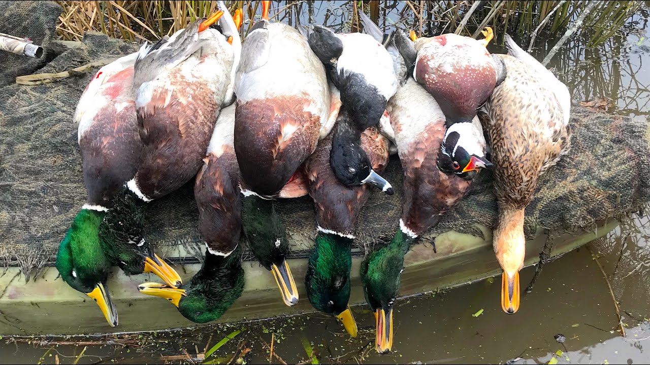Duck Hunting 2018 - Made A Move and It Paid Off