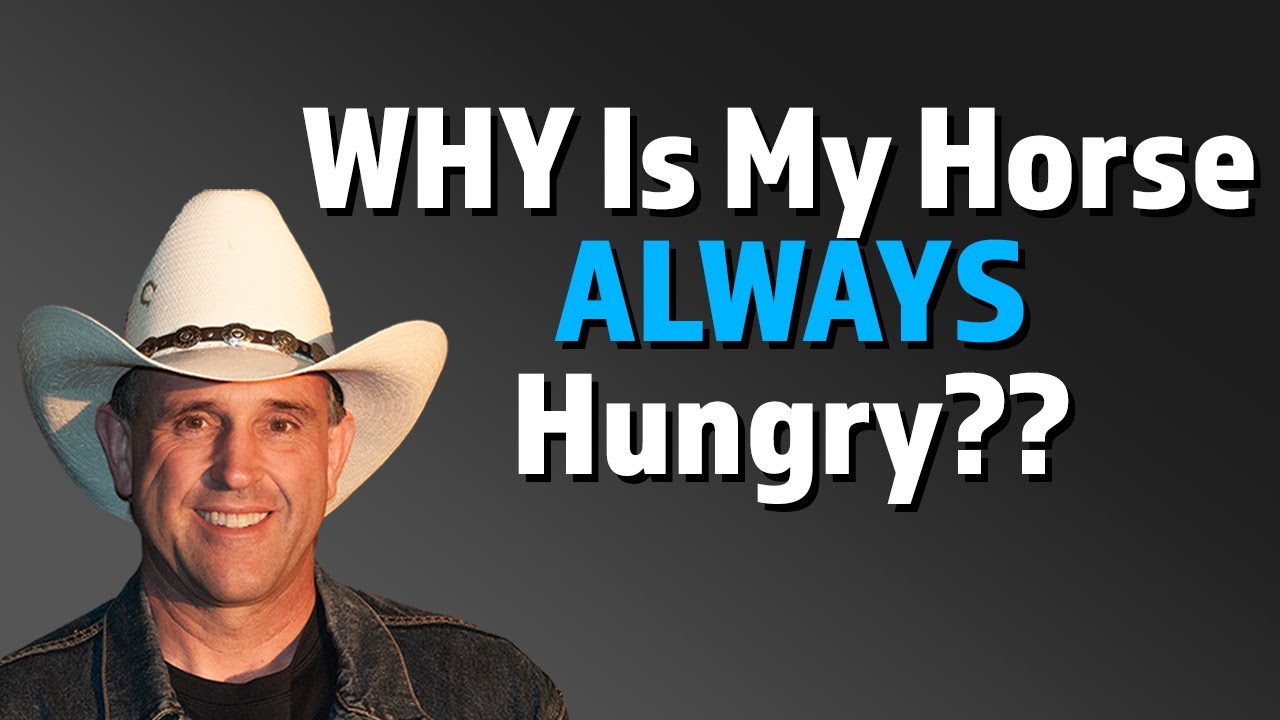 Fructose Is Damaging Our Horses - Part 2, by Geoff Tucker, DVM.