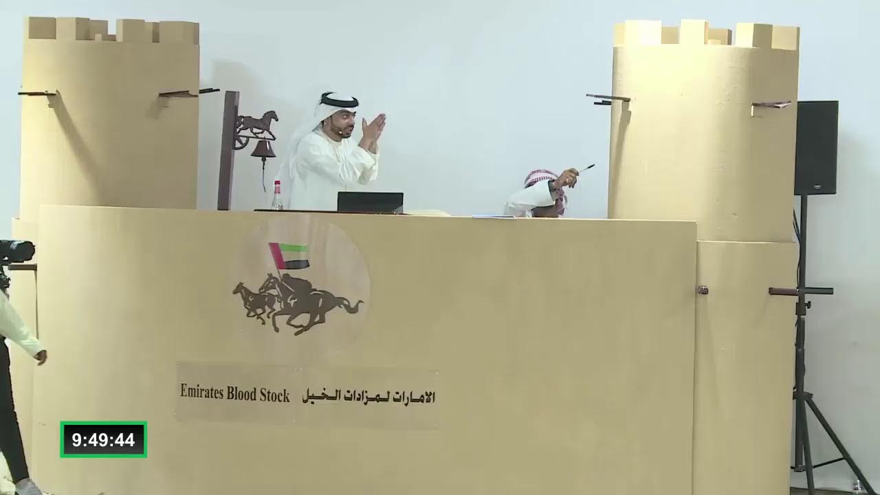 Dubai Arabian Horse stud Auction 29th Oct.2022