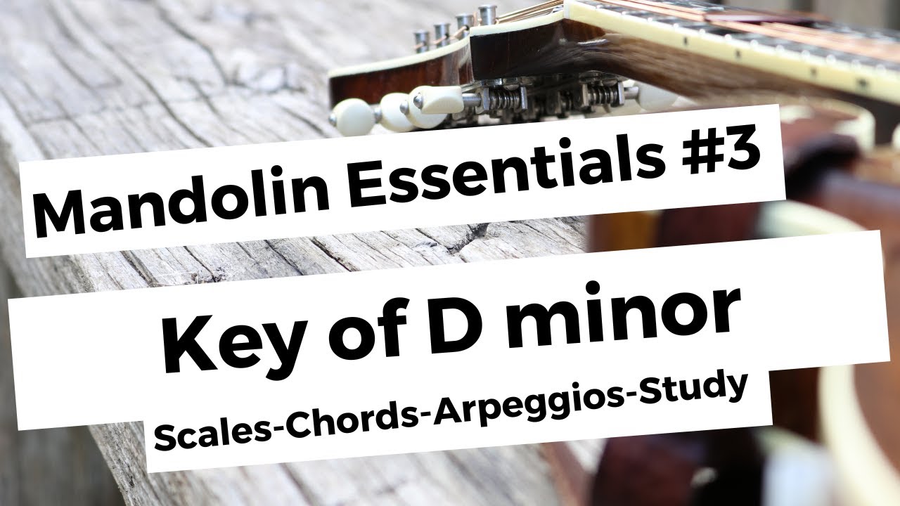 Key of Dm: Mandolin Essentials #3