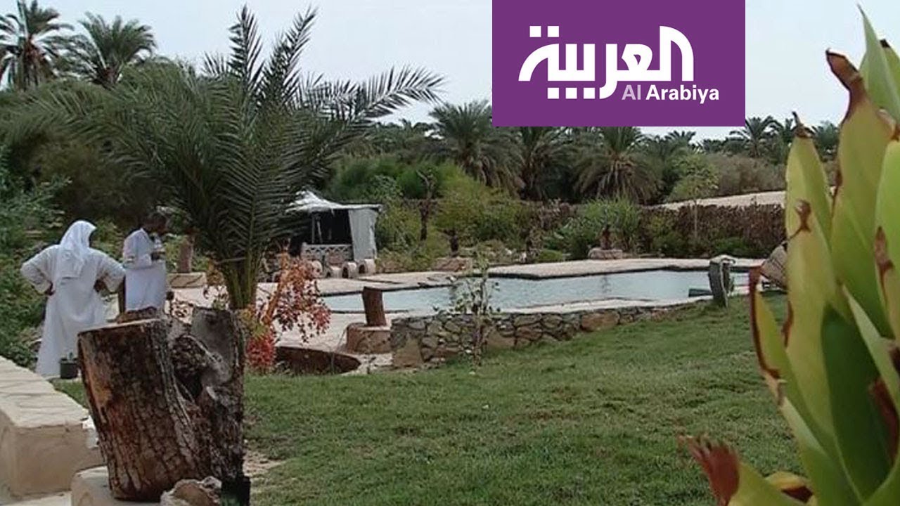 صباح العربية: سيوة .. سياحة في التاريخ