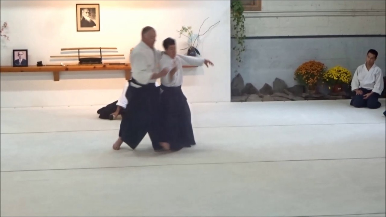 ASNJ Seminar Oct 2016: Sensei Bruce Bookman
