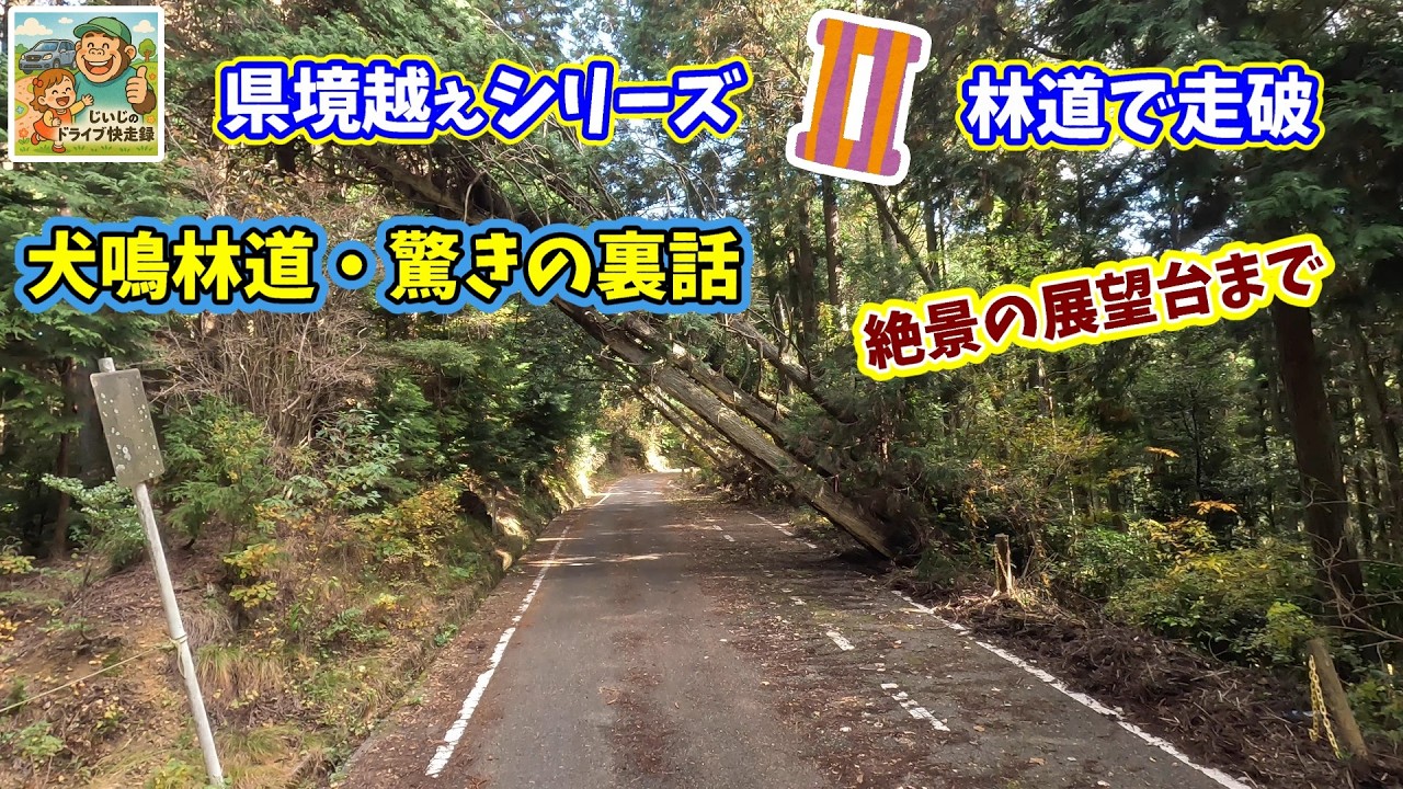 大阪南部山奥の怪奇伝説と絶景展望！泉佐野水呑地蔵から犬鳴林道　　ジジのドライブ快走録