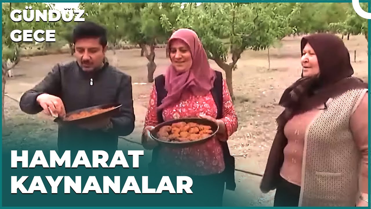 Şahane Efsane Kömbe | Gündüz Gece