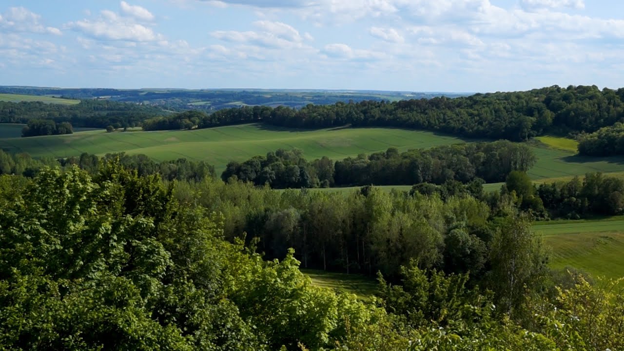 chemin des dames