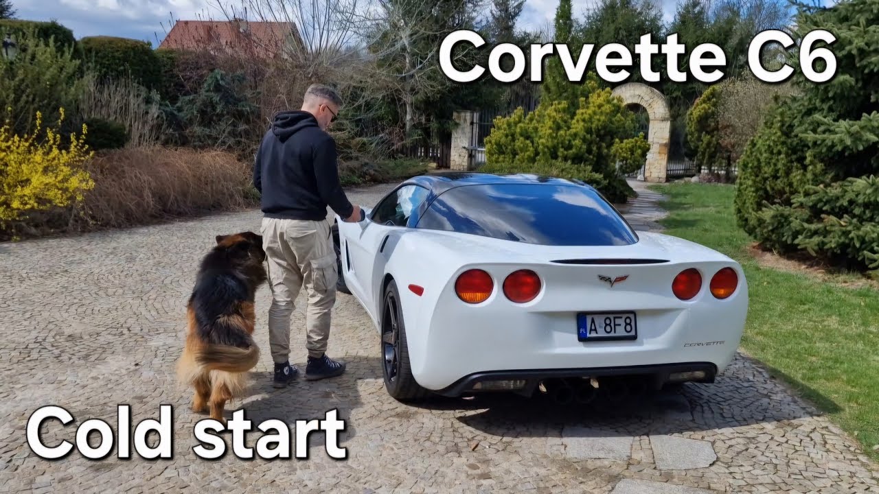 Łapy drżą i pot oblewa - cold start i jazda Chevy Corvette C6 Z51 LS2 6.2 V8 sound 
