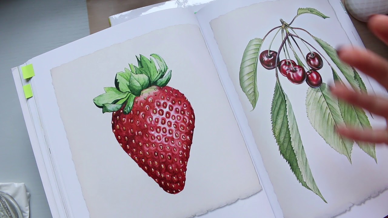 Billy Showell's Botanical Watercolour Books Comparison PART 1/2 | Comparing 1-4 Books