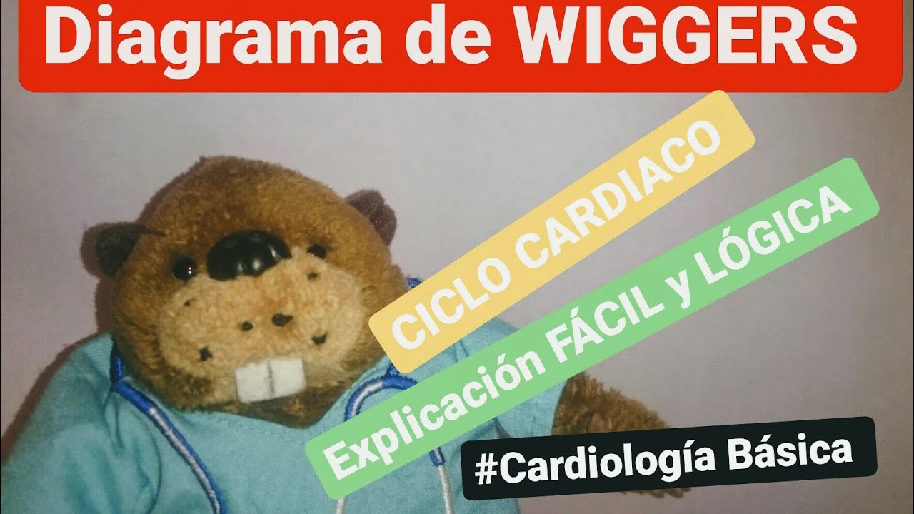 Aprende de manera LÓGICA... el Diagrama de WIGGERS