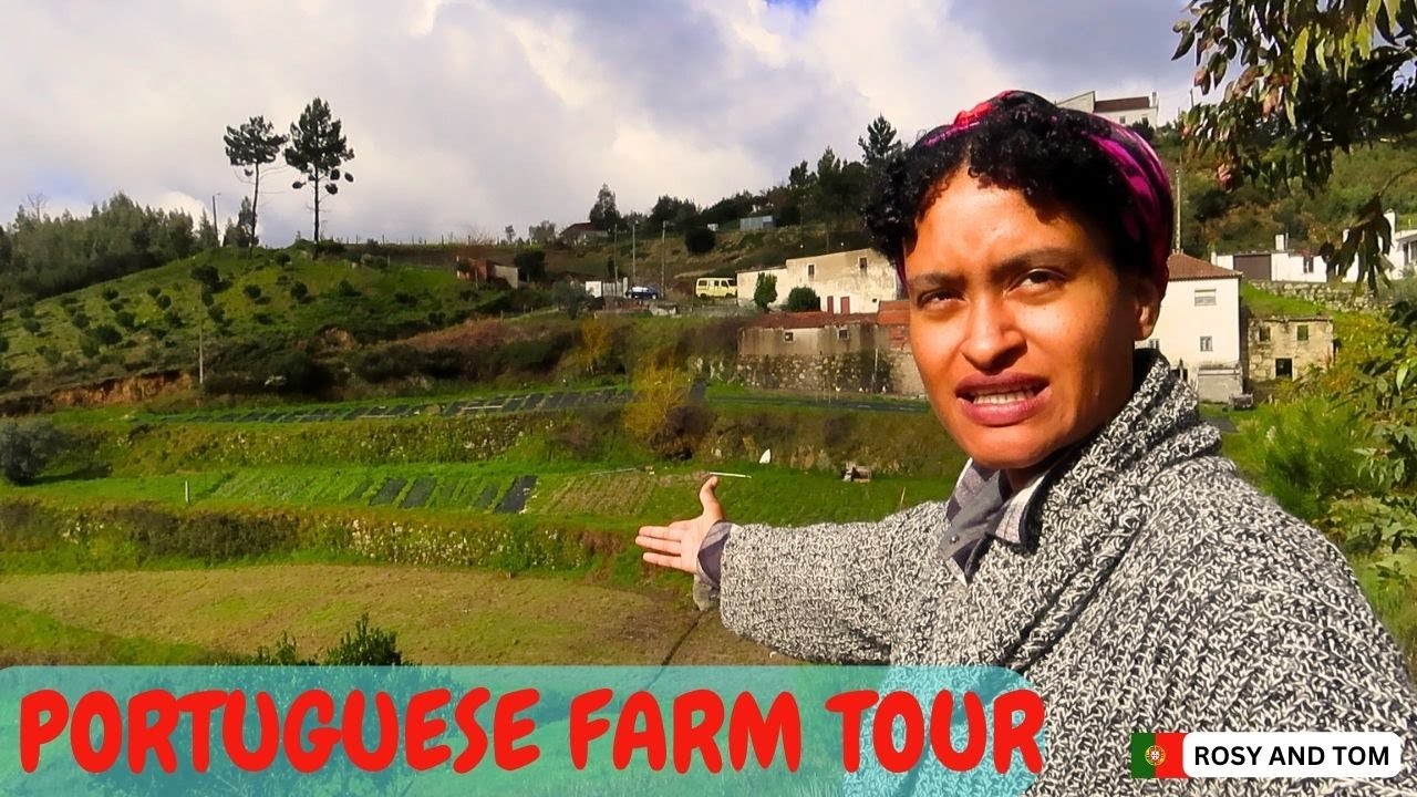 Tour of our Portugal FARM + UPDATES on what we've done - Portugal homestead