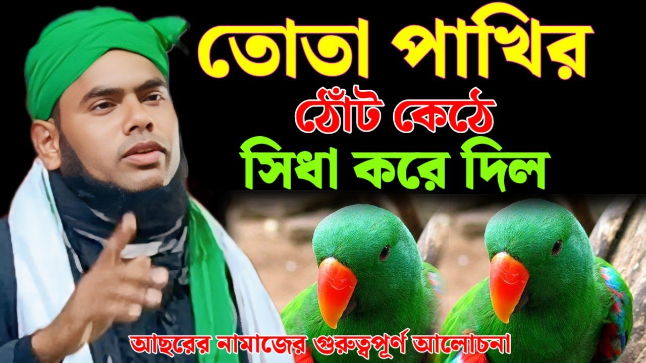 তোতা পাখির ঠোঁট কেটে সিধা করে দিল || আছরের নামাজের গুরুত্বপূর্ণ আলোচনা || মৌলানা গুলজার হুসেন ছাহেব 