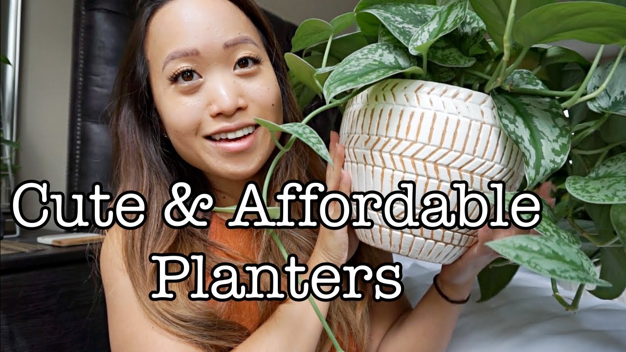 AFFORDABLE PLANT POTS | SHOP WITH ME