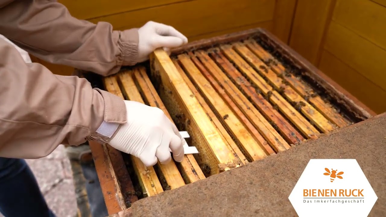 Infos zur Varroabehandlung mit Calistrips
