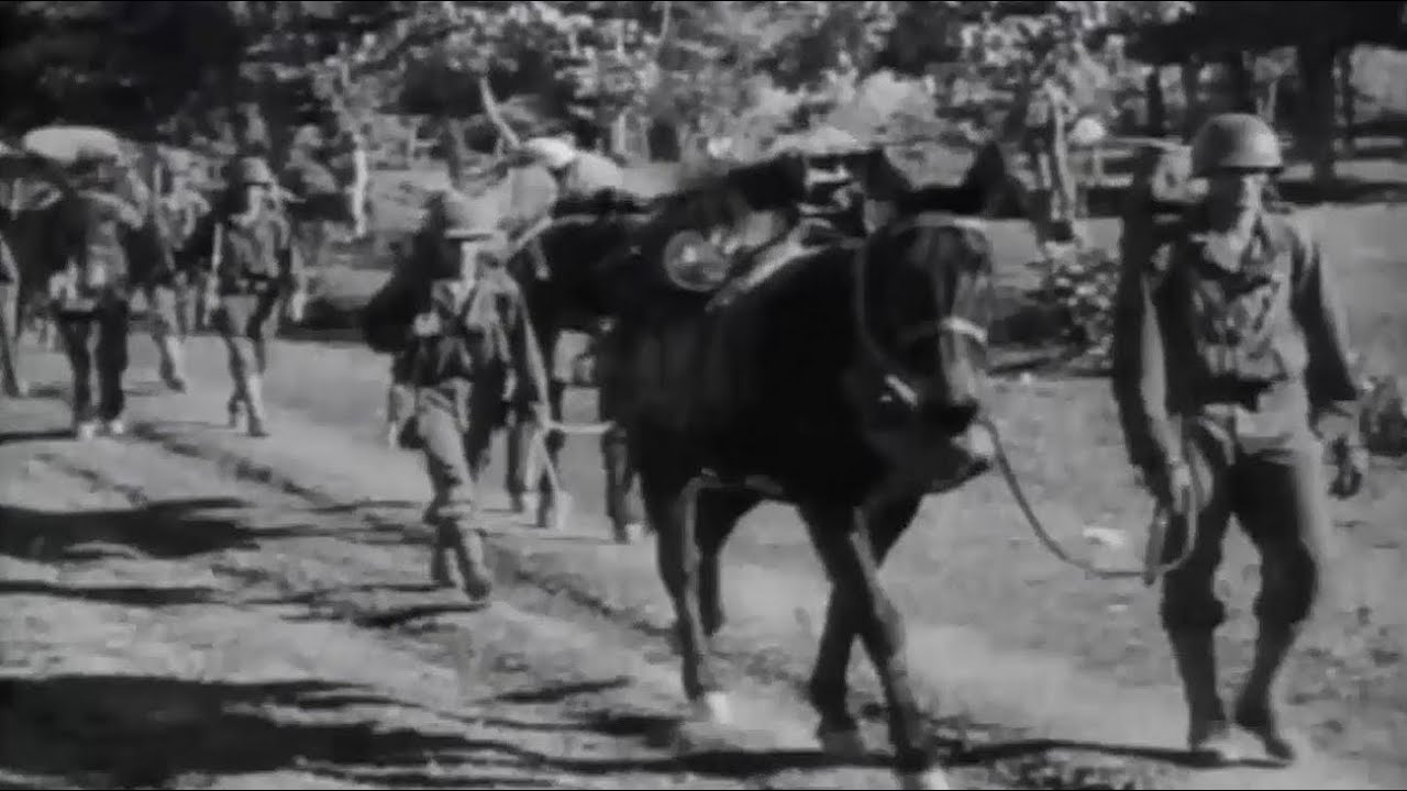 British and Scottish Army Troops Advance in Burma Ledo Road WW2