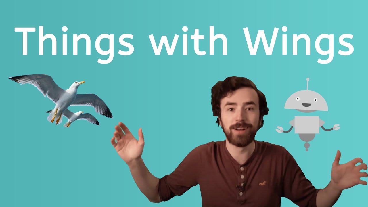 Tell Me About Things With Wings - Science for Kids!