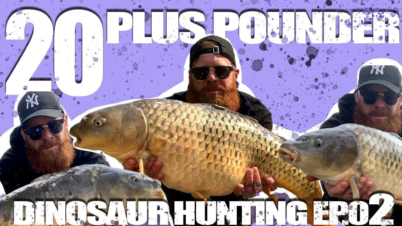 20 Plus Pound Carp Aston Park - Sturgeon Hunting Ep.02