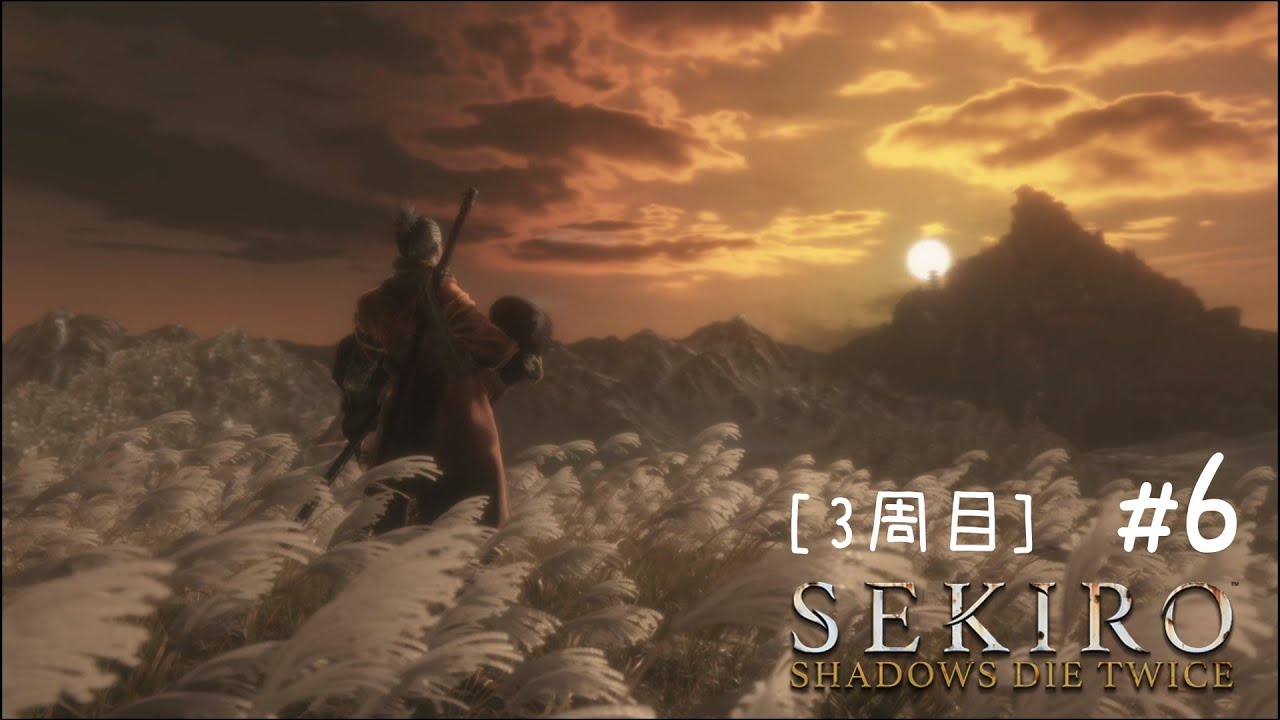 [3周目]SEKIRO: SHADOWS DIE TWICE #6