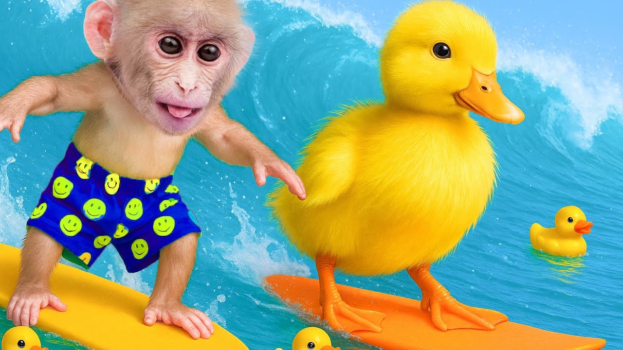 A Day of Splashing Fun with Obi Monkey and Duck
