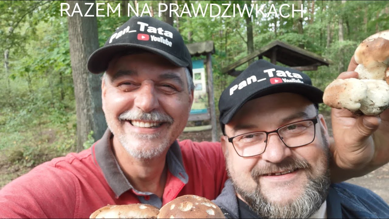 No to zbieramy Prawdziwki. Ładne młode.