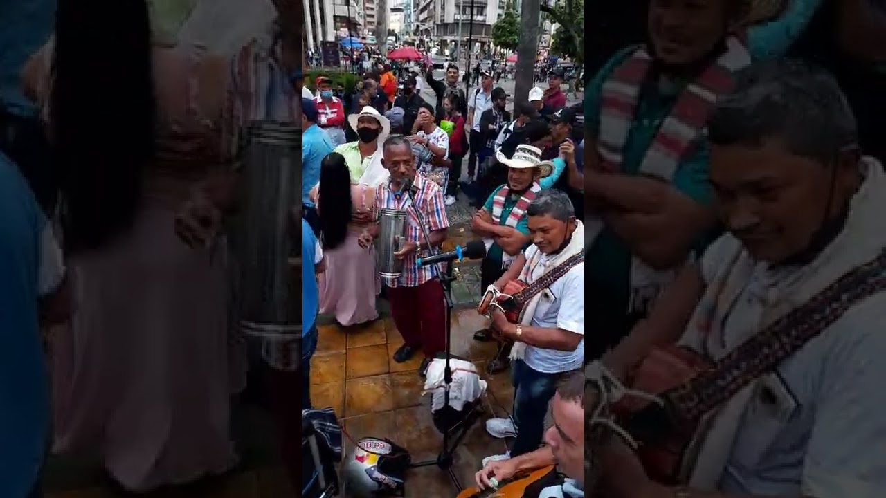 bailalo asi mocho. el pajaro macua por los fuertes de la parranda