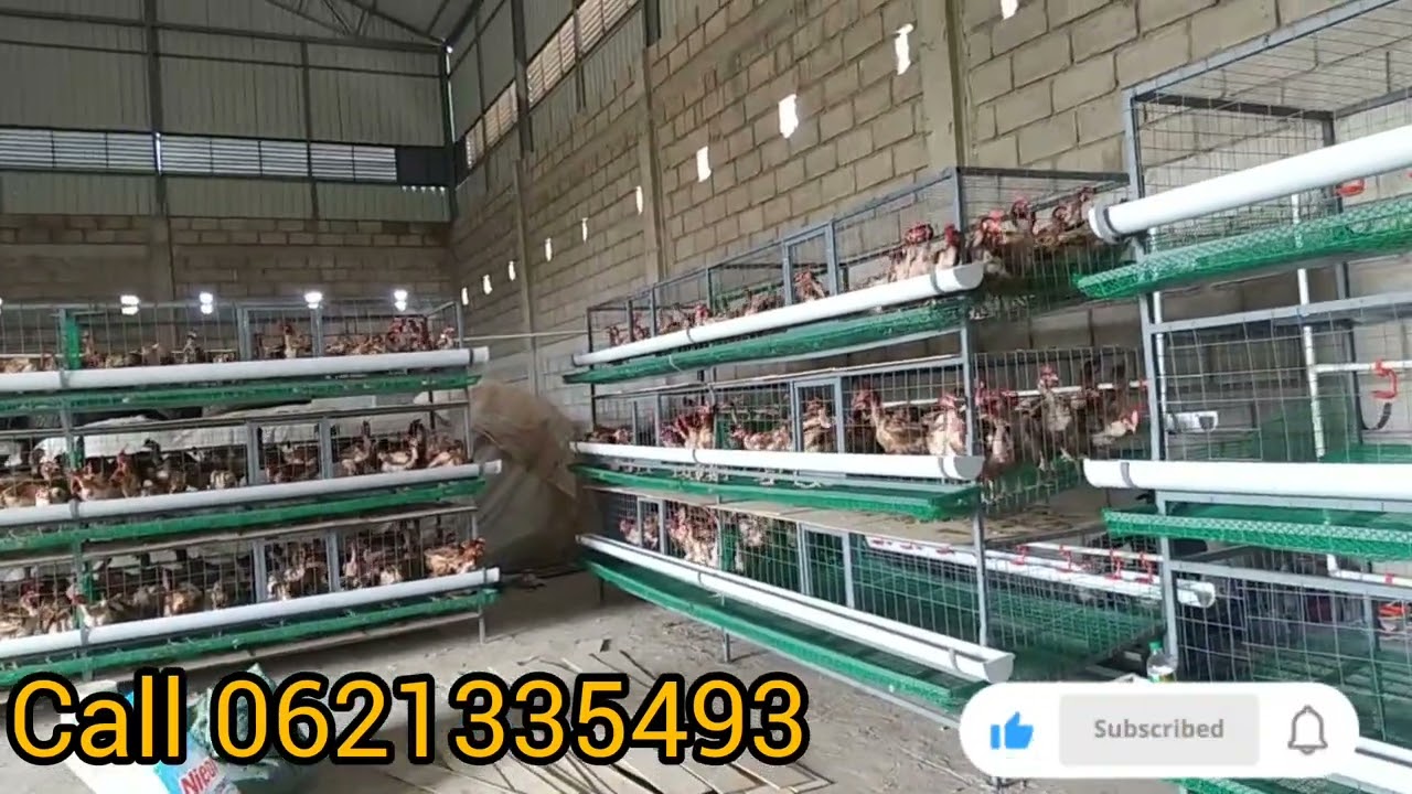 TUMIA LOCAL CAGE KUPUNGUZA BAADHI YA GHARAMA ZA MAGONJWA.