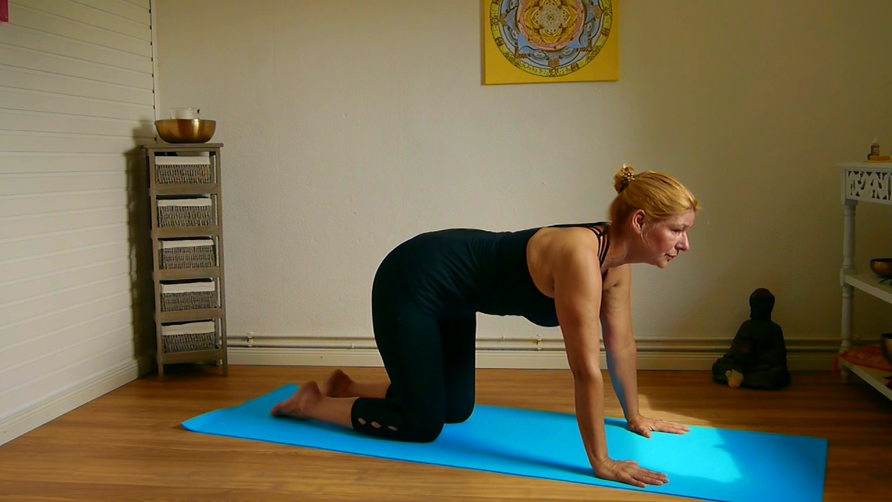 Natürlich Yoga  - Technik für den Vierfüsslerstand als Ausgangshaltungmit Móhini