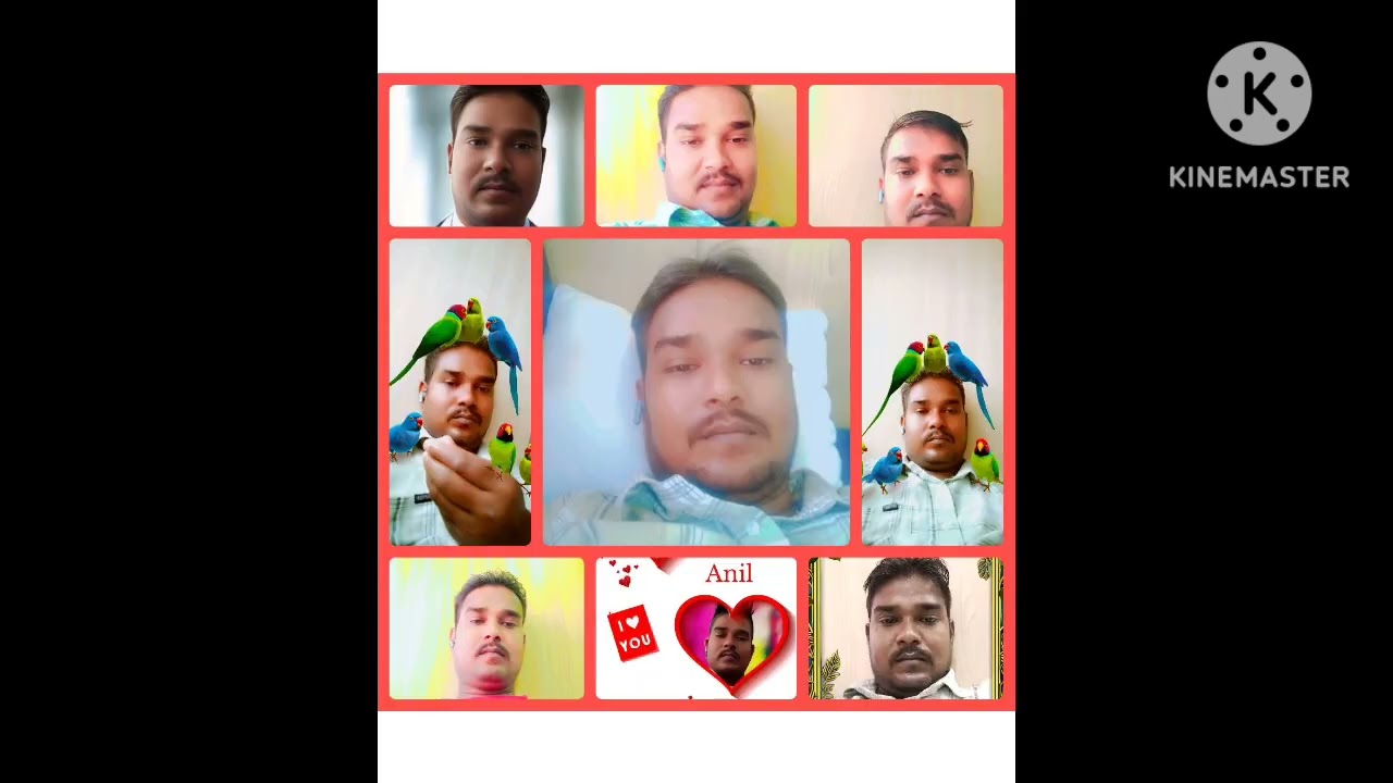 11 फ़रवरी 2026