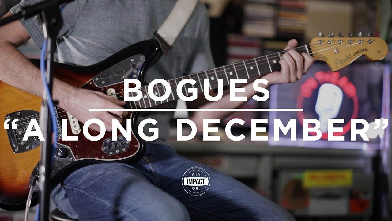 Bogues- 