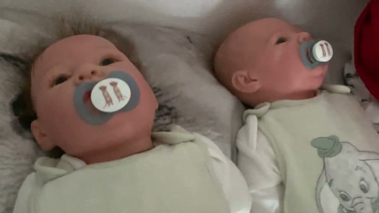Reborngedanken am 24-01-2026