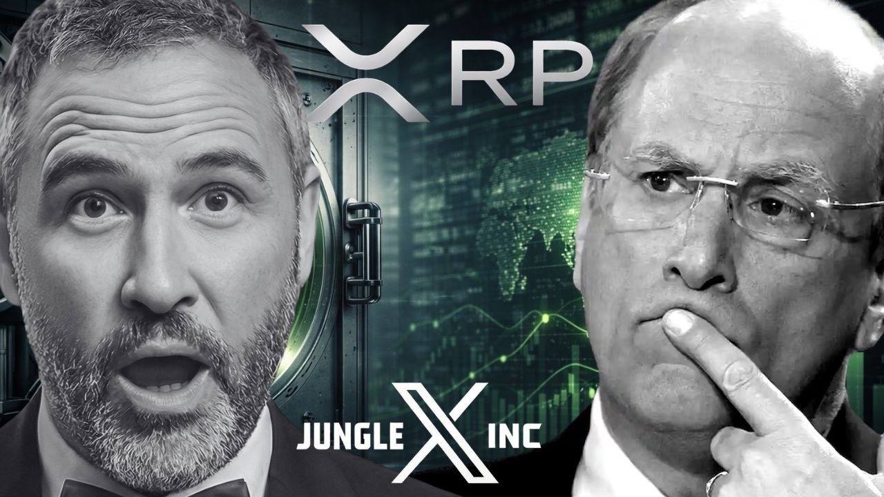 Ripple XRP: On-Chain Flashes GREEN !!!