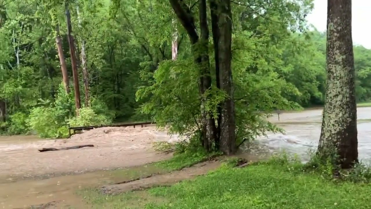 feeder creek