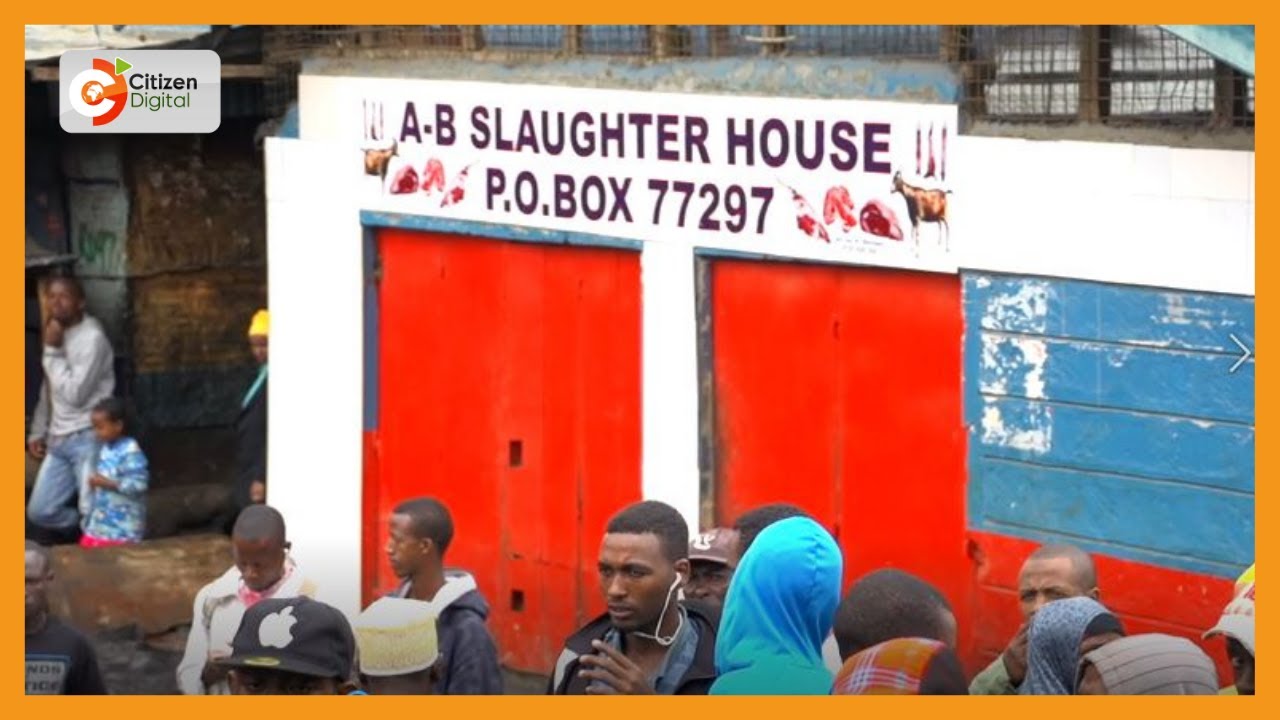 | SAVING NAIROBI RIVER NEMA | orders closure of 15 abattoirs at Kiamaiko in Nairobi
