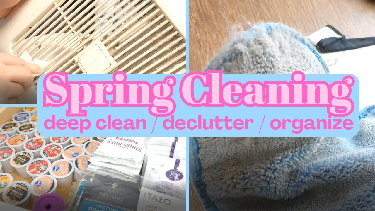 SPRING DEEP CLEANING I DUST AND DOG HAIR PICKUP II DECLUTTER & ORGANIZE WITH ME 2025