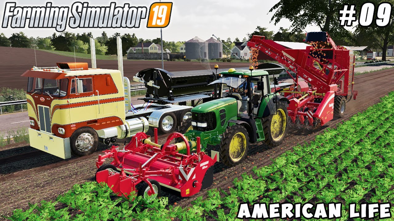 Harvesting & selling carrot, corn seeding protection | American life farming | FS 19 | Timelapse #09