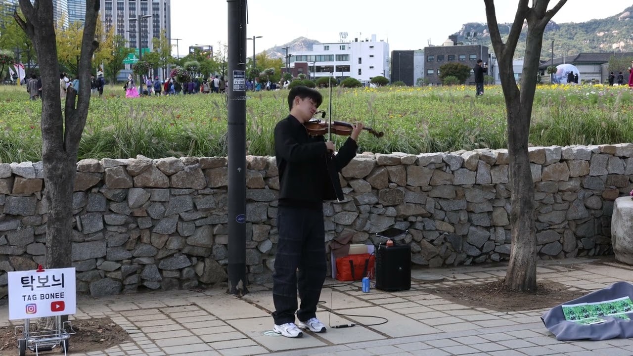 탁보늬Tagbonee - My Heart Will Go On 인사동 버스킹