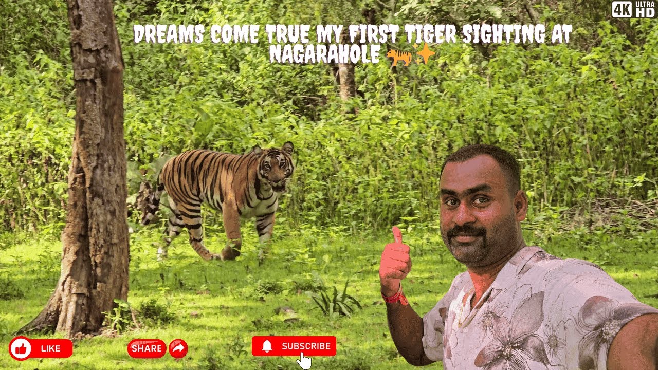 🐾 Dream Come True! First Tiger Sighting in Nagarahole Tiger Reserve