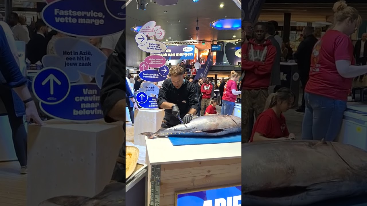 Filleting tuna to saku