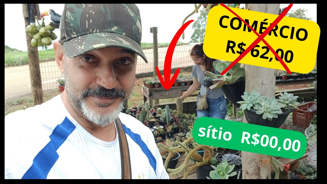 Quanto realmente vale uma planta quando você vive no campo