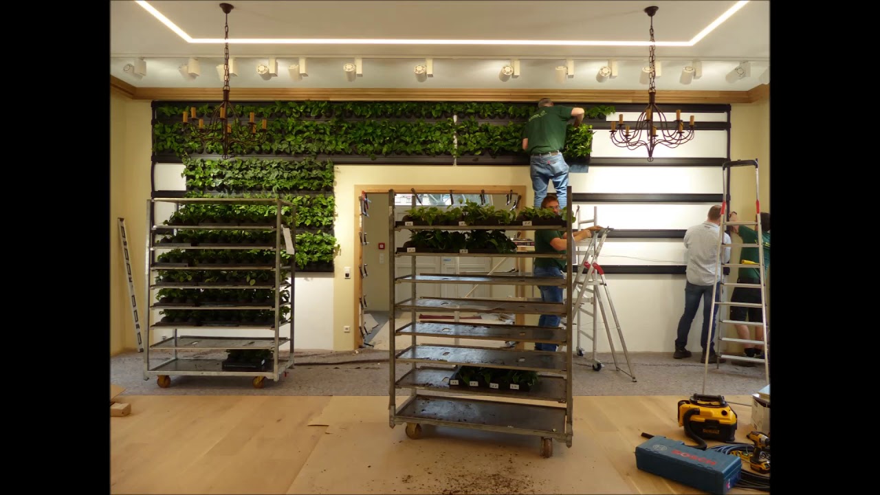 Instalación de Live Panel | Greentec by Mobilane