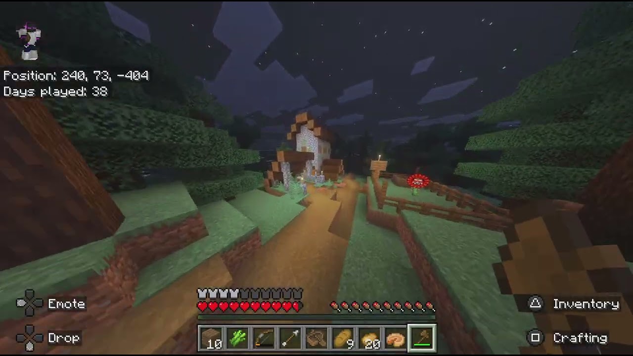Minecraft
